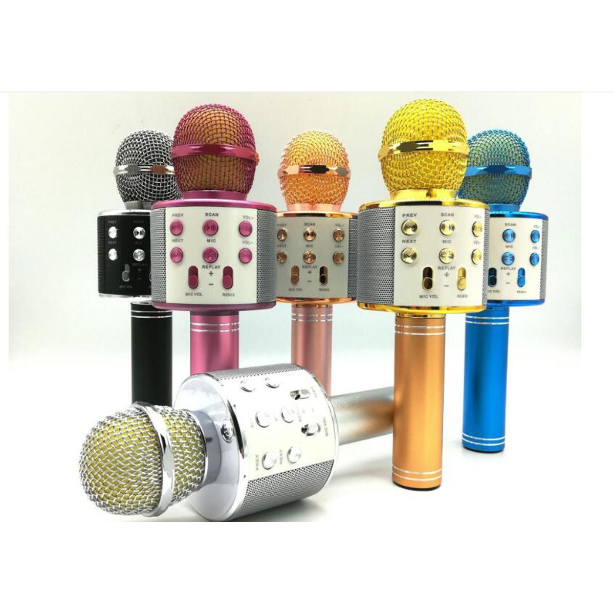 WS-858 Wireless Microphone with Speaker