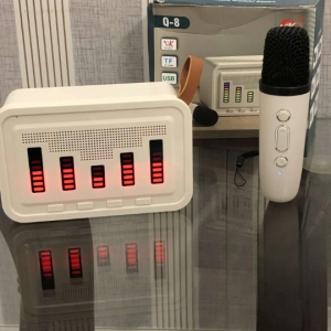 Bluetooth Karaoke Speaker with Mic